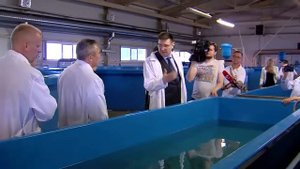 Югорский рыбоводный завод
