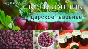 #387 КРЫЖОВНИК | царское варенье | пятиминутка