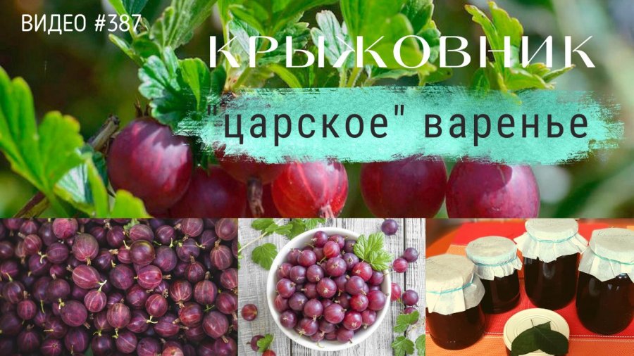 Рецепт варенья из крыжовника черный негус