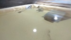 Разведение АККР 17. Где и как раки зимуют?)