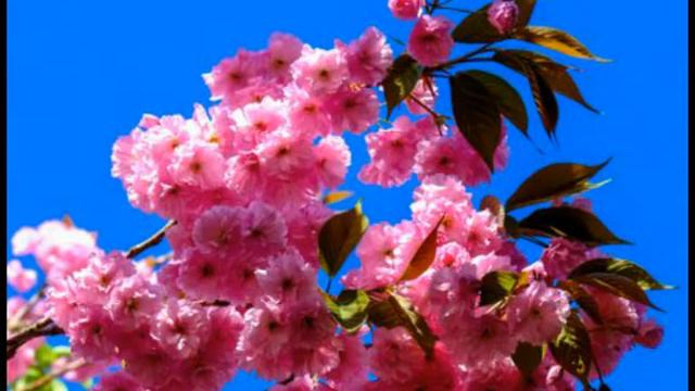 22.04.2021г. Денежный четверг. Карта дня.