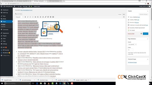 How to Optimize Opntize your WordPress for SEOs смотреть онлайн