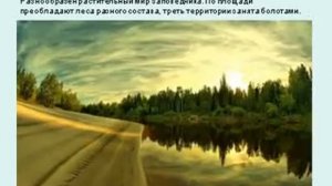 Юганский заповедник