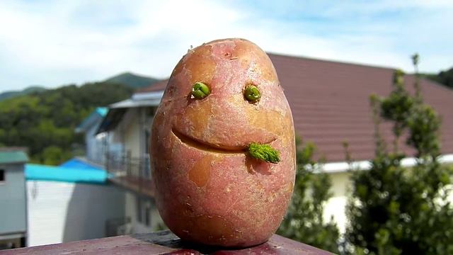 С ДНЁМ РОЖДЕНЬЯ ЮРА от Картофана