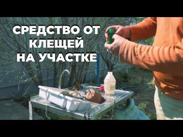 Средство от клещей для обработки участка.