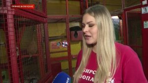 Прямое: В Сибирском зоопарке в Иркутске пополнение