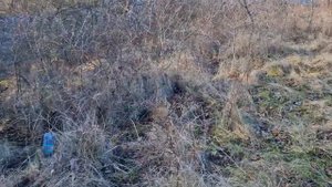 Продажа участка в Байдарской долине город Севастополь, село Орлиное