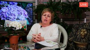 Ремонтантные крупнолистные гортензии ? Лучшие серии гортензий для средней полосы ? Прямой эфир