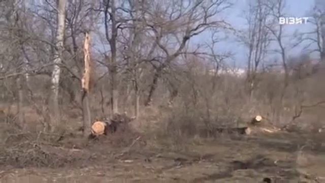 НАШ ЧАС. Кременчуг. Судьба старинного кладбища. Эфир от 8.4.2021.