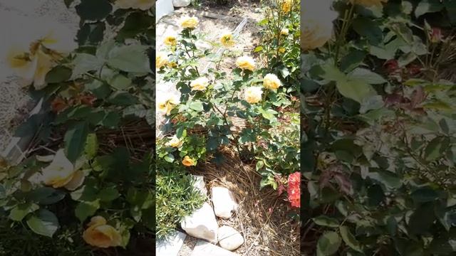 21 июня 2022 г. смотреть онлайн