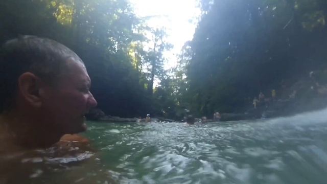 Шли мы по грязной дороге в лесу Не встретились другие туристы Зато встретились горные коровы смотреть онлайн