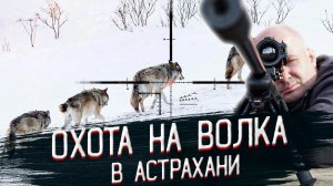 Охота на волка! Выстрел и попадание в кадре! Охота на волков в АСТРАХАНИ
