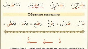 УРОК 13 | МУАЛЛИМ САНИ | БУКВЫ "ДОД" ض  | "ЗО" ظ