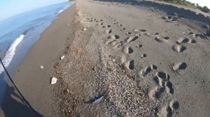 Ловим сибаса в Черногории с берега.