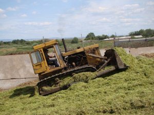 Chelyabinsk tractor T-130M silage /// Трактор ЧТЗ Т-130М сенаж