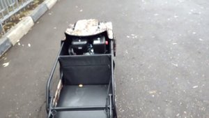 Snowdog standard z15