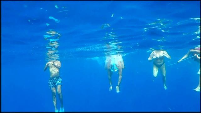 Sharming inn | Риф отеля смотреть онлайн