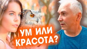 ЛЮБЯТ УМНЫХ ИЛИ КРАСИВЫХ? Александр Ковальчук 💬 Психолог Отвечает