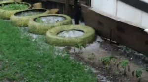 Погода в Кустанае