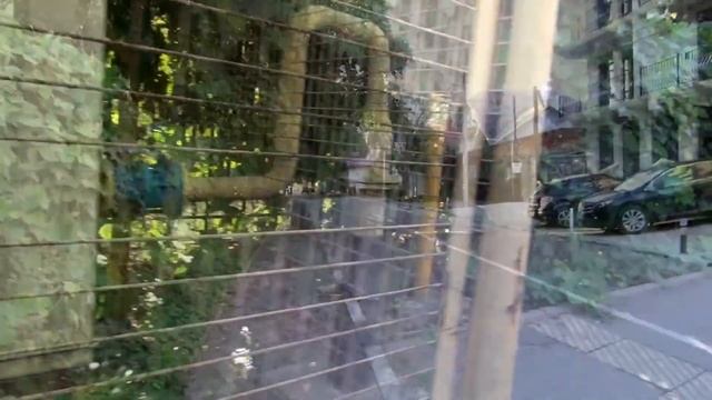 Чёрное море. Адлер. Частный сектор. Улицы Тюльпанов и Цветочная (19.09.2019) смотреть онлайн