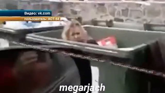 Муж выгнал жену смотреть онлайн