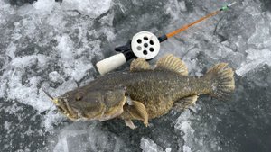 За ротаном по первому льду. С бараниной, резиной и на голую блесну. Открытие сезона зимней рыбалки.