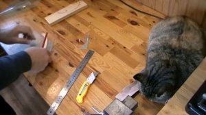 ТЕПЛЫЙ  ВХОД В КОШКИН ДОМ (CATS HOME WARM ENTRANCE)