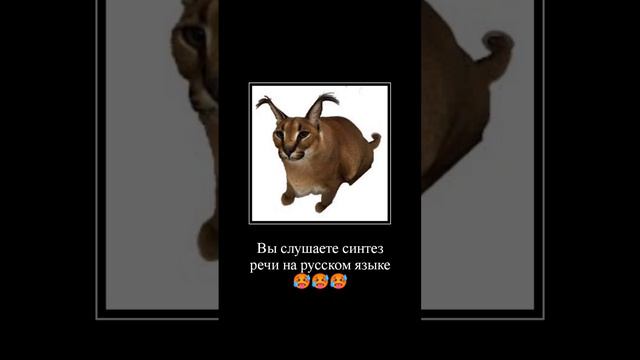 шлëпы 157 вы слушаете синтез речи на русском языке👺 смотреть онлайн