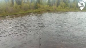 Рыбалка на Хариуса, Ленка. Лето 2022 г.