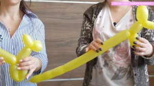 Собака из ШДМ: как сделать собачку из воздушных шаров?