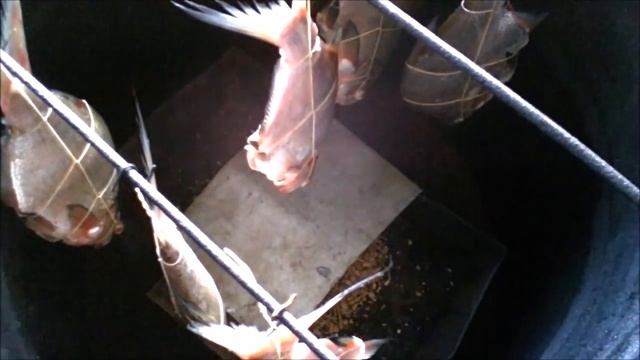 Лещ горячего копчения. Электро коптильня своими руками смотреть онлайн