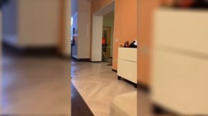 КСЮША КУПИЛА ЕЩЁ 1 СОБАКУ