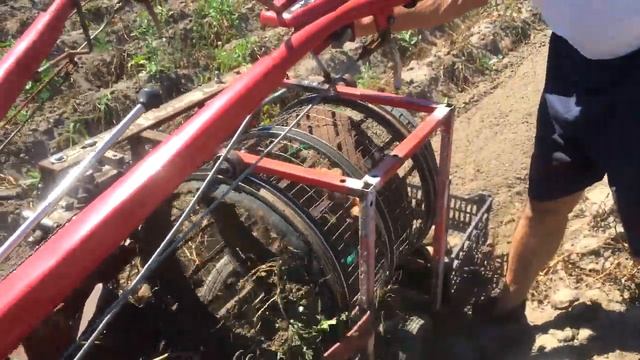 Копка картошки 2020! Digging potatoes 2020! смотреть онлайн