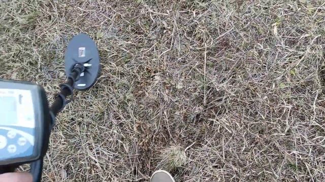 Поиск монет с металлоискателем. Находки есть даже на выбитых местах. x-terra705 весна 2023 смотреть онлайн