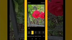Два видеоредактора в приложении "Галерея"