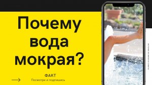 Почему вода мокрая?