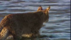 Малый Кавказ  Природа края