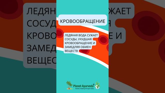 Почему летом вредно пить ледяную воду?  #аюрведа #здоровье #пп #yoga #женскоездоровье #йогa #питание