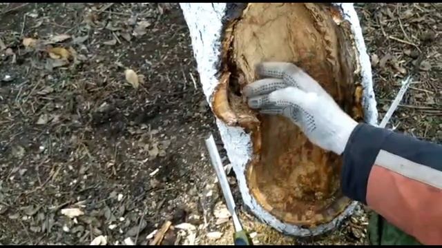 СПАСАЕМ СТАРУЮ ЯБЛОНЮ. смотреть онлайн