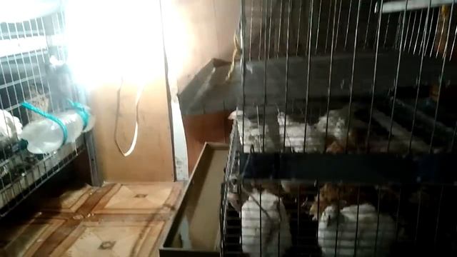 Мой гараж до ремонта!!! смотреть онлайн