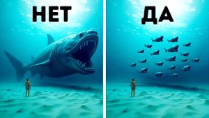 Что, если бы вы жили в девонский период