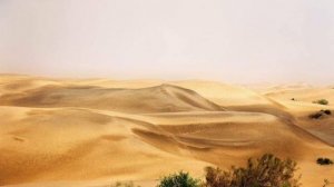 На севере диком стоит одиноко