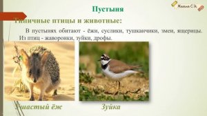 ЗАДАНИЕ №3.2, 3.3.Часть 3 Растения и животные степей, пустынь, субтропиков Природных зон. ВПР- 4