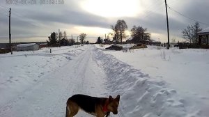 Буксировщик и Трицикл Щукарь 5 02 2022 / 7530 лета