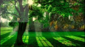 Тахорат олаётганда укиладиган дуолар / Tahorat olayotganda o'qiladigan duolar