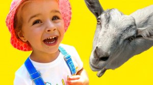 Мила с семьей отправилась в зоопарк.mp4