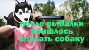 После рыбалки спасение собаки.
