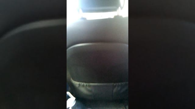 Vlog: купили морскую свинку, поход по зоомагзинам смотреть онлайн