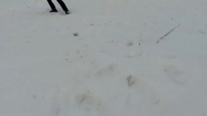 Кадры с неба)