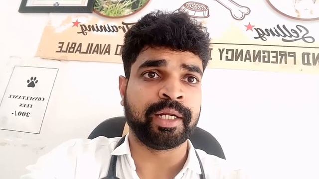 Mismating in dogs and its solution । अगर bitch का cross स्ट्रीट dog से हो जाये तो क्या करें? смотреть онлайн